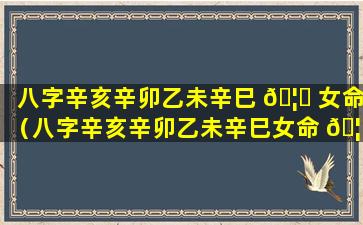 八字辛亥辛卯乙未辛巳 🦄 女命（八字辛亥辛卯乙未辛巳女命 🦁 详解）